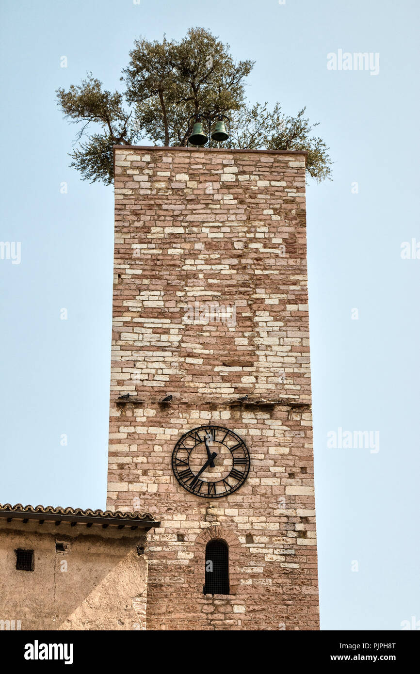 Tour carrée médiévale de l'entrée principale, porte Consolare du centre historique de la ville de Spello Banque D'Images