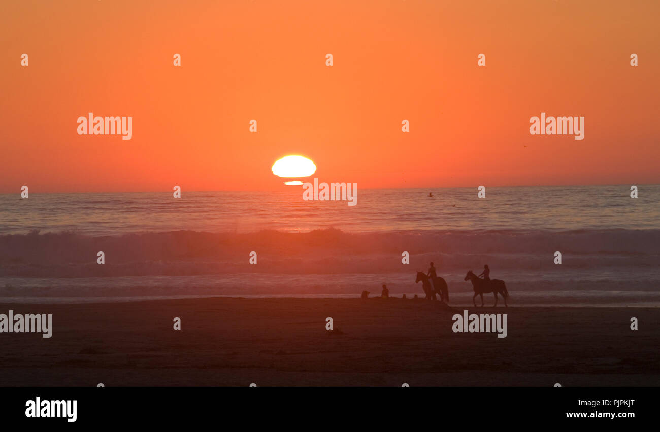 Coucher Du Soleil Sur La Plage Avec Des Gens Et Des Chevaux