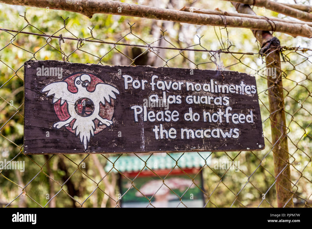 Une vue typique dans les ruines de Copan au Honduras Banque D'Images