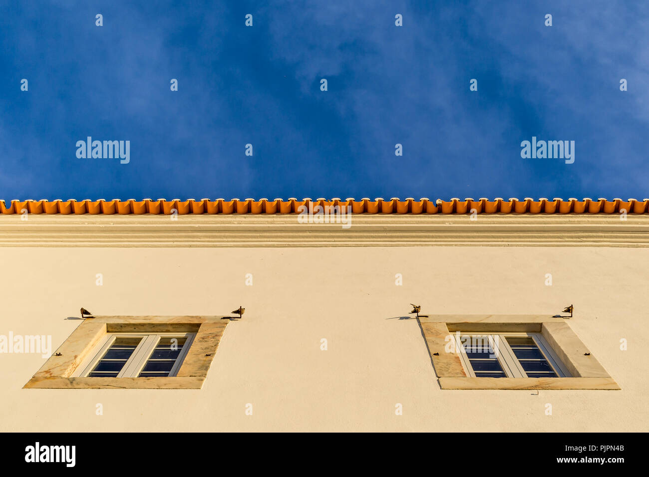 Vue de bas en haut de la façade d'une maison à Estremoz, Portugal. Vue symétrique avec 2 fenêtres et 4 hirondelles perchées sur les deux côtés. Coucher du soleil, ciel bleu. Banque D'Images