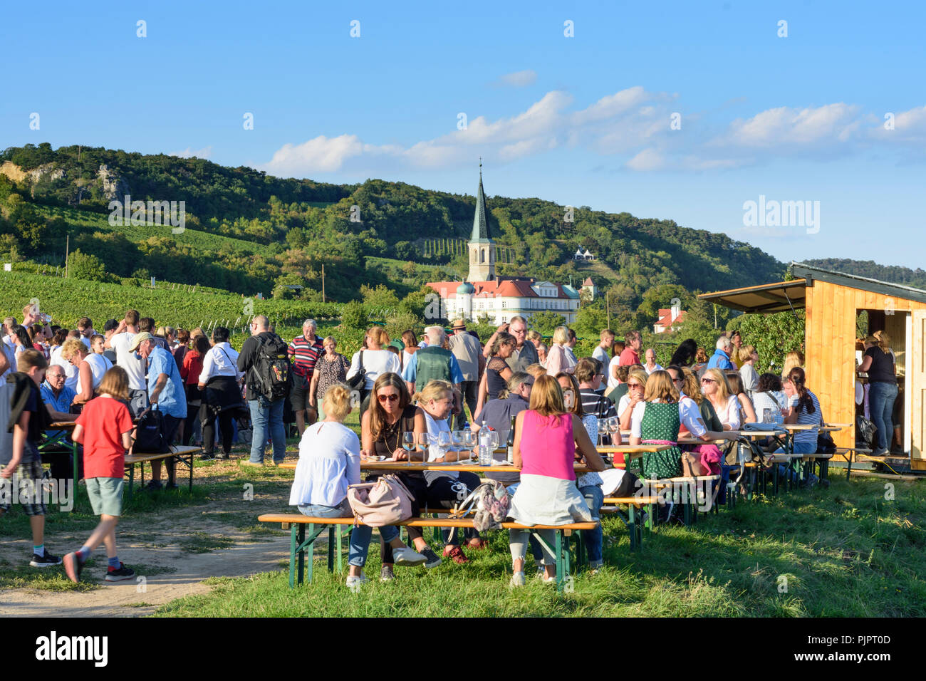 Gumpoldskirchen : Deutschordensschloss (Ordonnance allemande Château), vigne, bar au festival 'Genussmeile' le long de la 1ère ligne de chemin de randonnée de l'eau vienne, winegro Banque D'Images