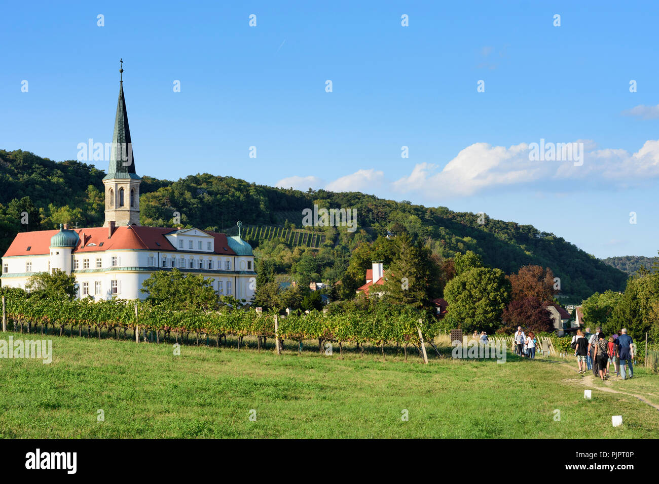 Gumpoldskirchen : Deutschordensschloss (Ordonnance allemande Château), vigne, vin, Wienerwald, Bois de Vienne, Basse-Autriche, Basse Autriche, Autriche Banque D'Images
