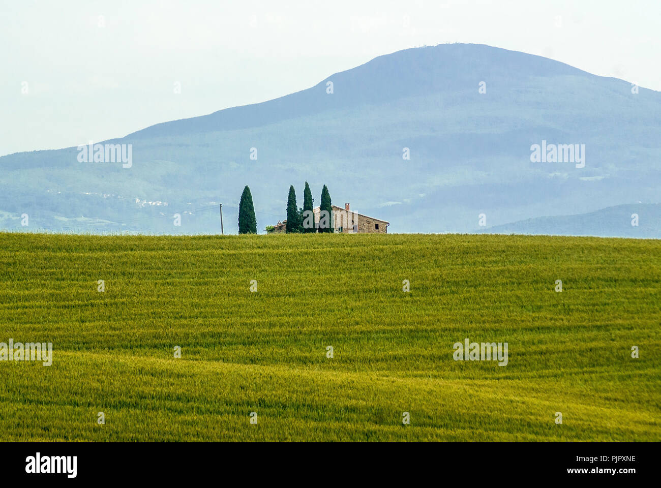 Paysage de la vallée de l'Orcia,Toscane,Italie,2018. Banque D'Images