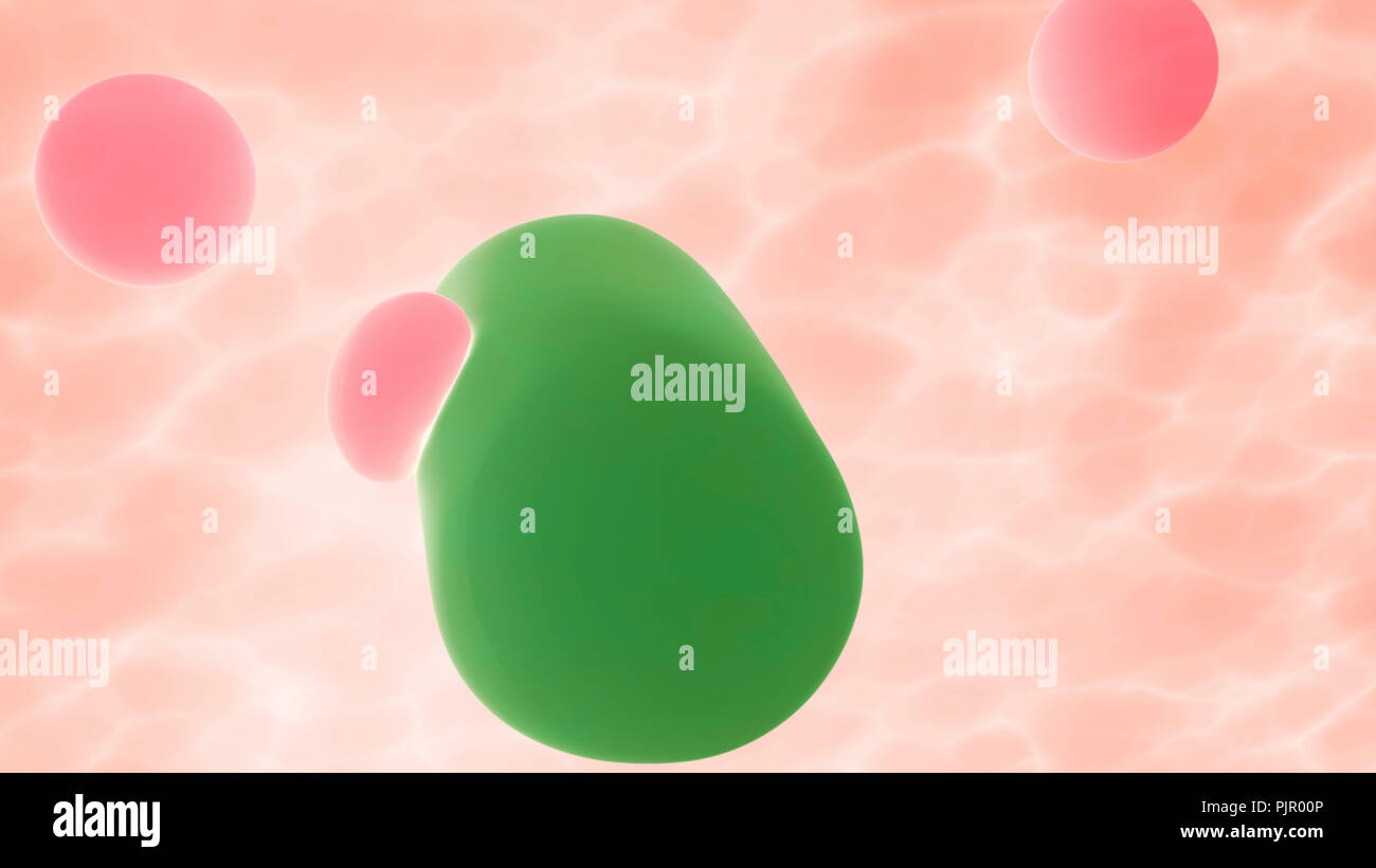 Les cellules B lymphocytes ou globules blancs attaquent les bactéries à l'intérieur du corps. L'infection et l'immunodéficience, Concept 3D Render Banque D'Images