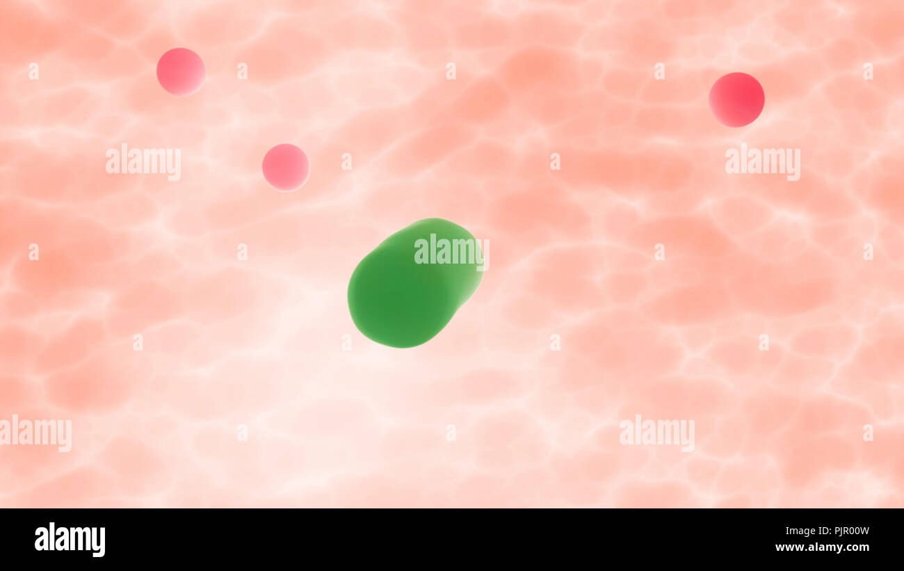Les cellules B lymphocytes ou globules blancs attaquent les bactéries à l'intérieur du corps. L'infection et l'immunodéficience, Concept 3D Render Banque D'Images