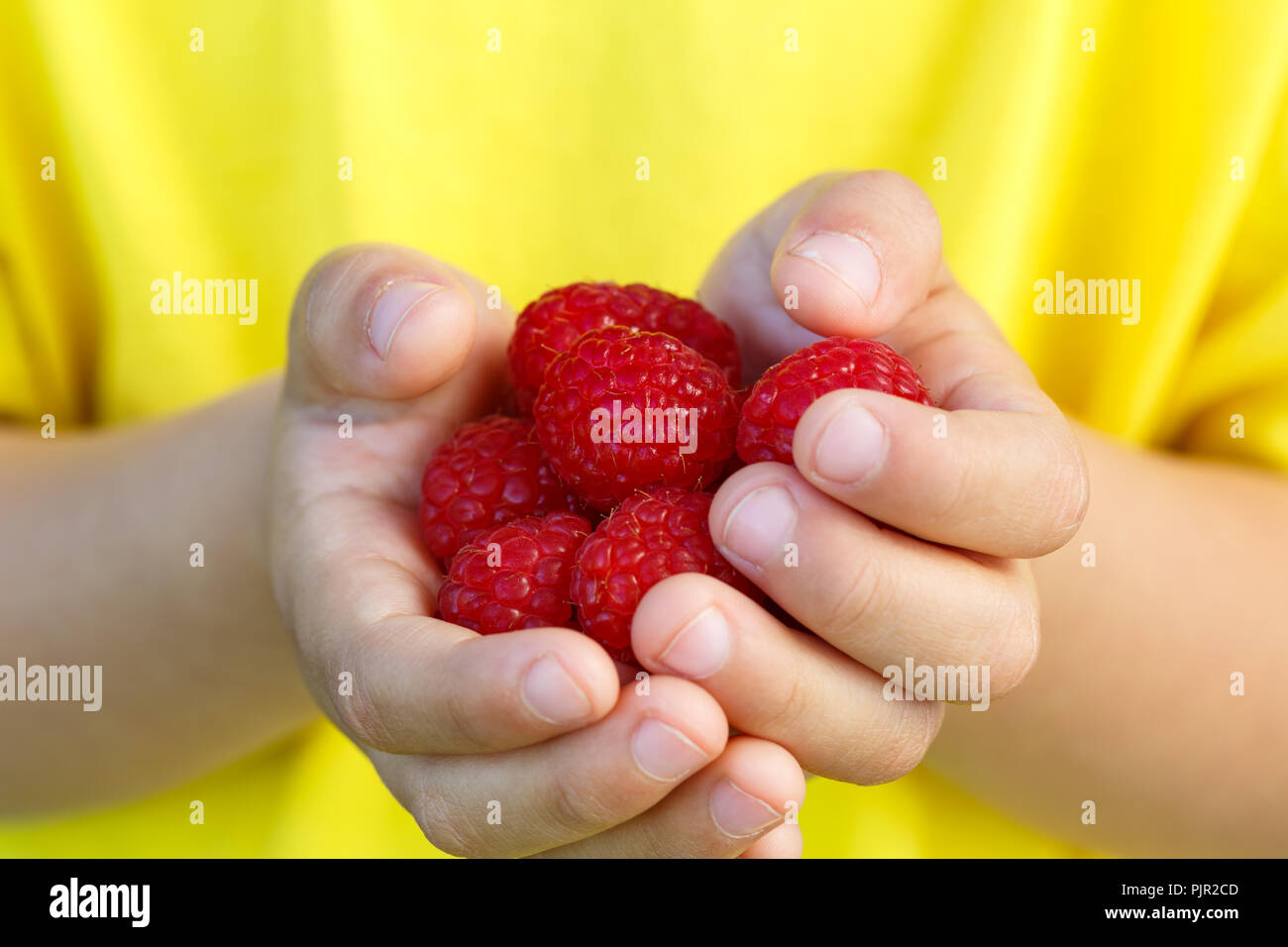 Petits fruits rouges framboises fruits d'été fruits framboise mains tenant un enfant petit garçon piscine Banque D'Images