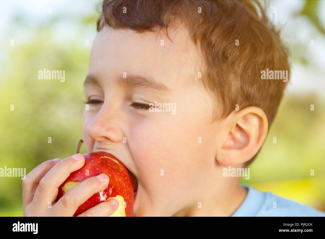 Manger pomme fruit enfant petit garçon plein air extérieur nature printemps Banque D'Images