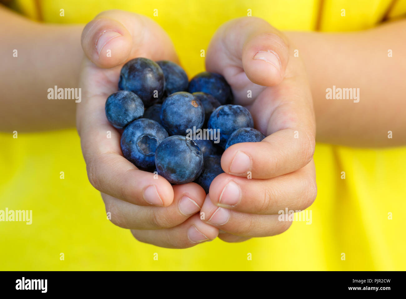 Petits fruits rouges les petits fruits bleuets bleuets de l'été fruits hands holding enfant petit garçon piscine Banque D'Images