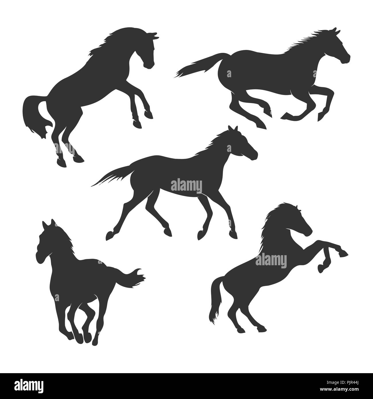 Beau cheval Silhouette Vector Graphic Design Template Set Illustration de Vecteur