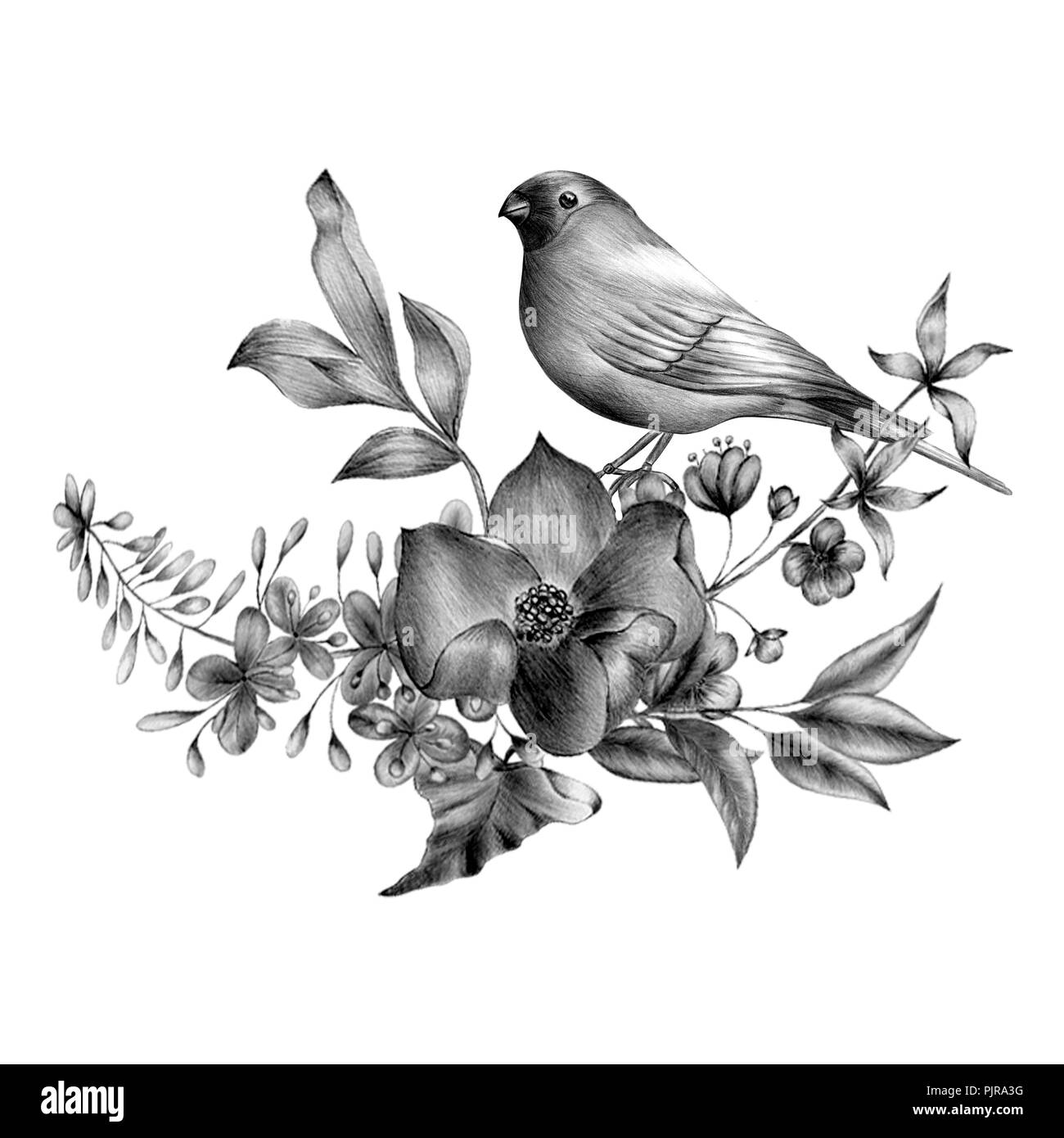 Les oiseaux du printemps fleurs assis sur les branches. Gravée linéaire l'art. Banque D'Images
