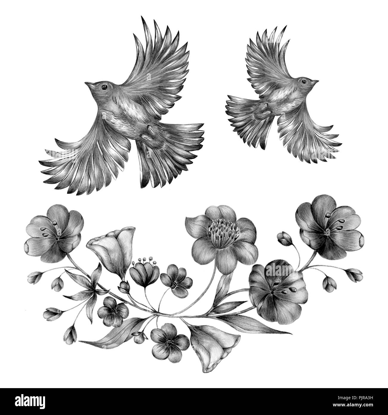 Les oiseaux du printemps fleurs assis sur les branches. Gravée linéaire l'art. Banque D'Images