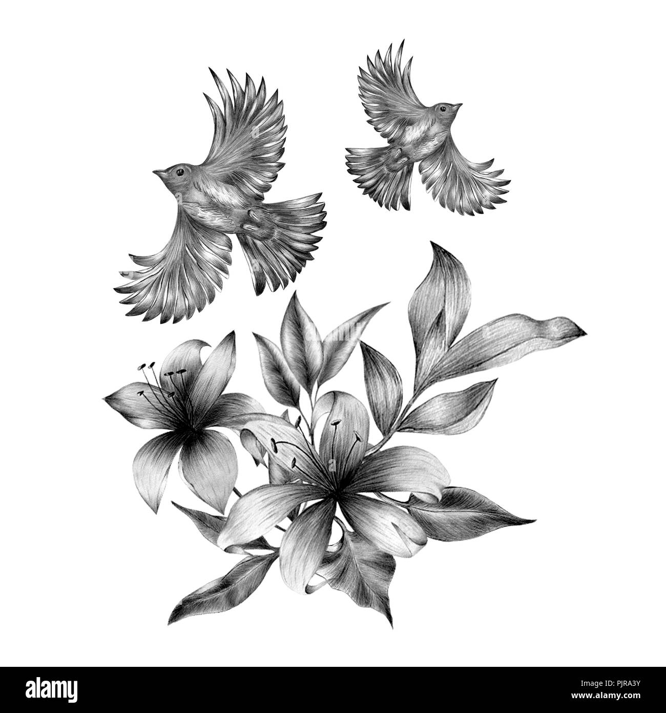 Les oiseaux du printemps fleurs assis sur les branches. Gravée linéaire l'art. Banque D'Images