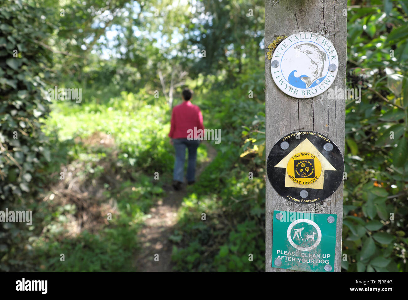 Sentier de marche de la vallée de Wye marqueur Comment Caple à côté de la rivière Wye dans le Herefordshire UK Banque D'Images