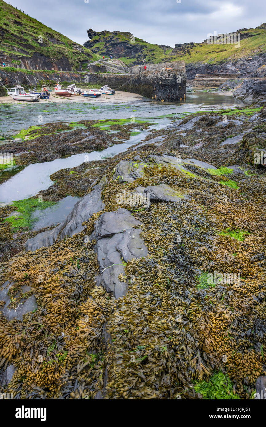 Boscastle Harbour, le théâtre d'inondations destructrices en 2004, reconstruit et maintenant une destination touristique prospère en Cornouailles du Nord. Banque D'Images