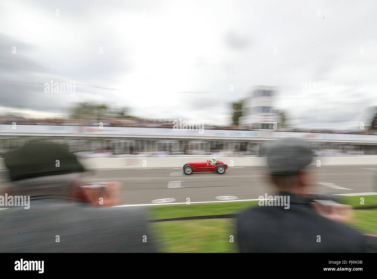 Un concurrent sur sa Maserati 8cm au cours de la Goodwood trophy le deuxième jour de la Goodwood Revival au Goodwood Motor Circuit, dans la région de Chichester. Banque D'Images