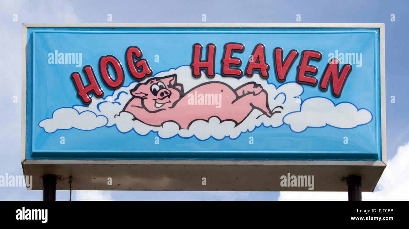 Panneau BBQ de Hog Heaven à Washington, Caroline du Nord : un panneau ludique sur le thème des cochons promet la saveur fumée du Sud et le charme de la route. Banque D'Images
