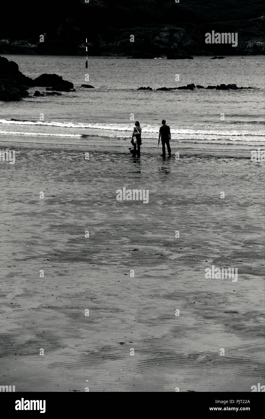 Un couple en train de marcher leur chien sur la plage de Blackpool dans le sud du Devon, tandis que le vent tourne Banque D'Images
