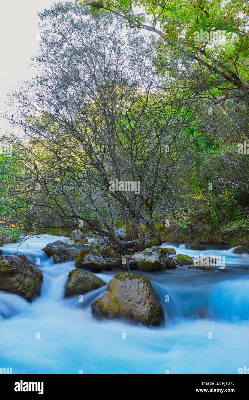 L'eau de la rivière floue avec un arbre au milieu de pierres et arbres verts autour à jour brillant Banque D'Images