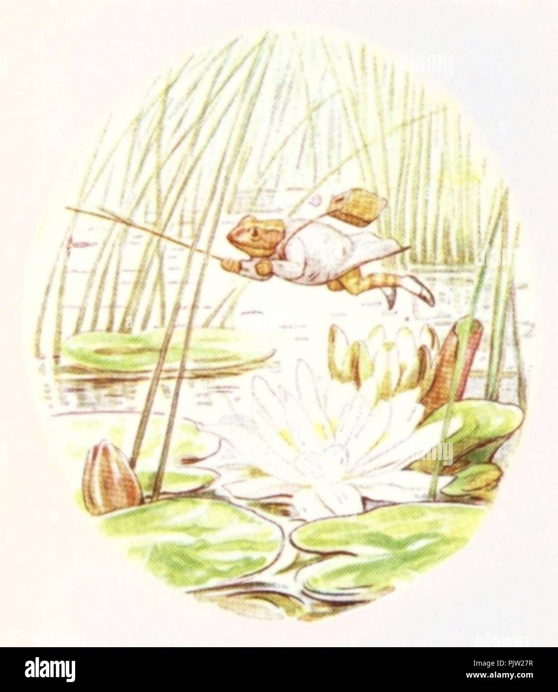 Beatrix Potter - l'histoire de Jeremy Fisher - Illustration de la page 16. Banque D'Images