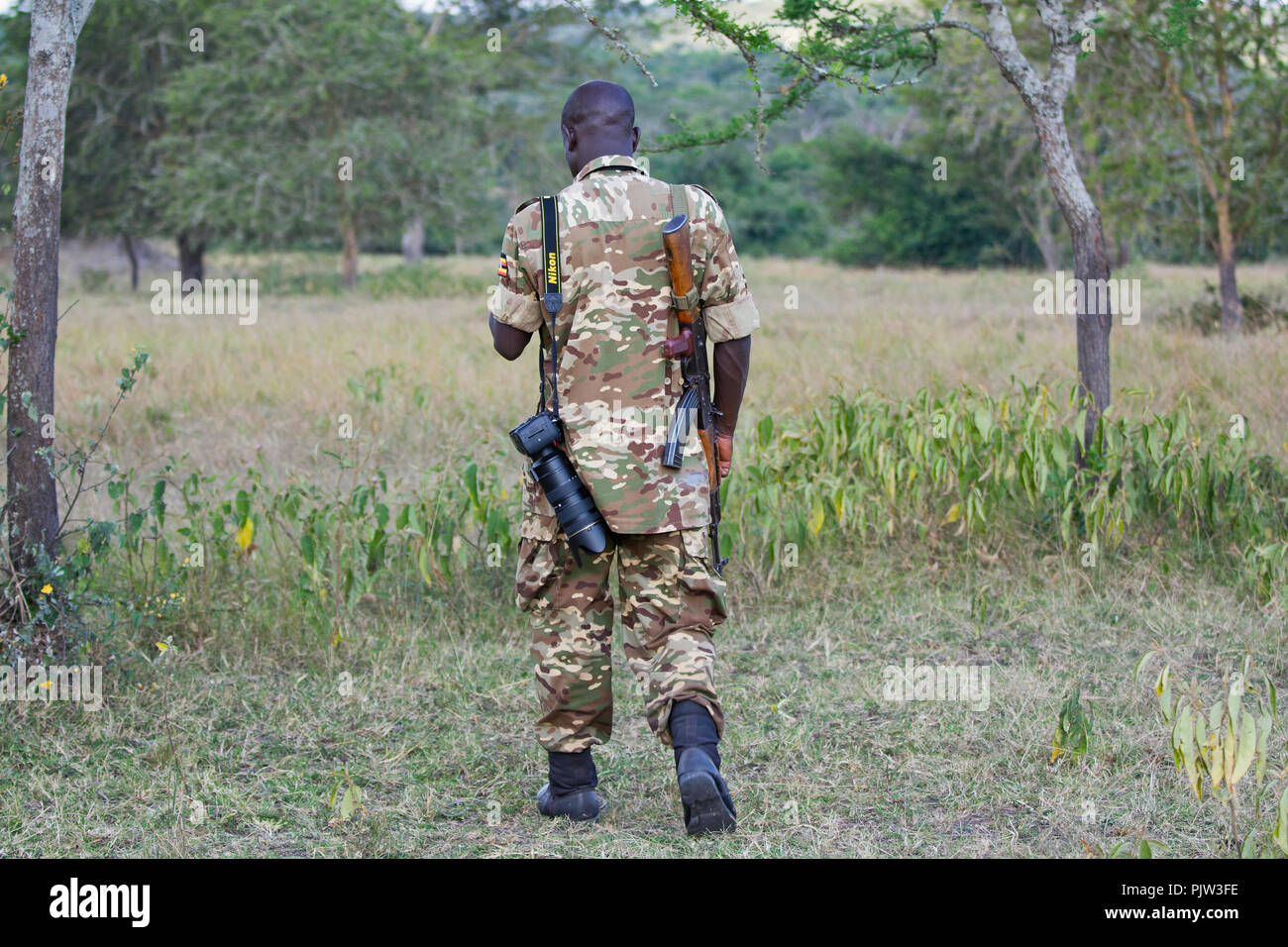 Ranger, garde-chasse, Field Guide, Guide de Safari avec fusil AK-42, parc national du lac Mburo, Ouganda Banque D'Images
