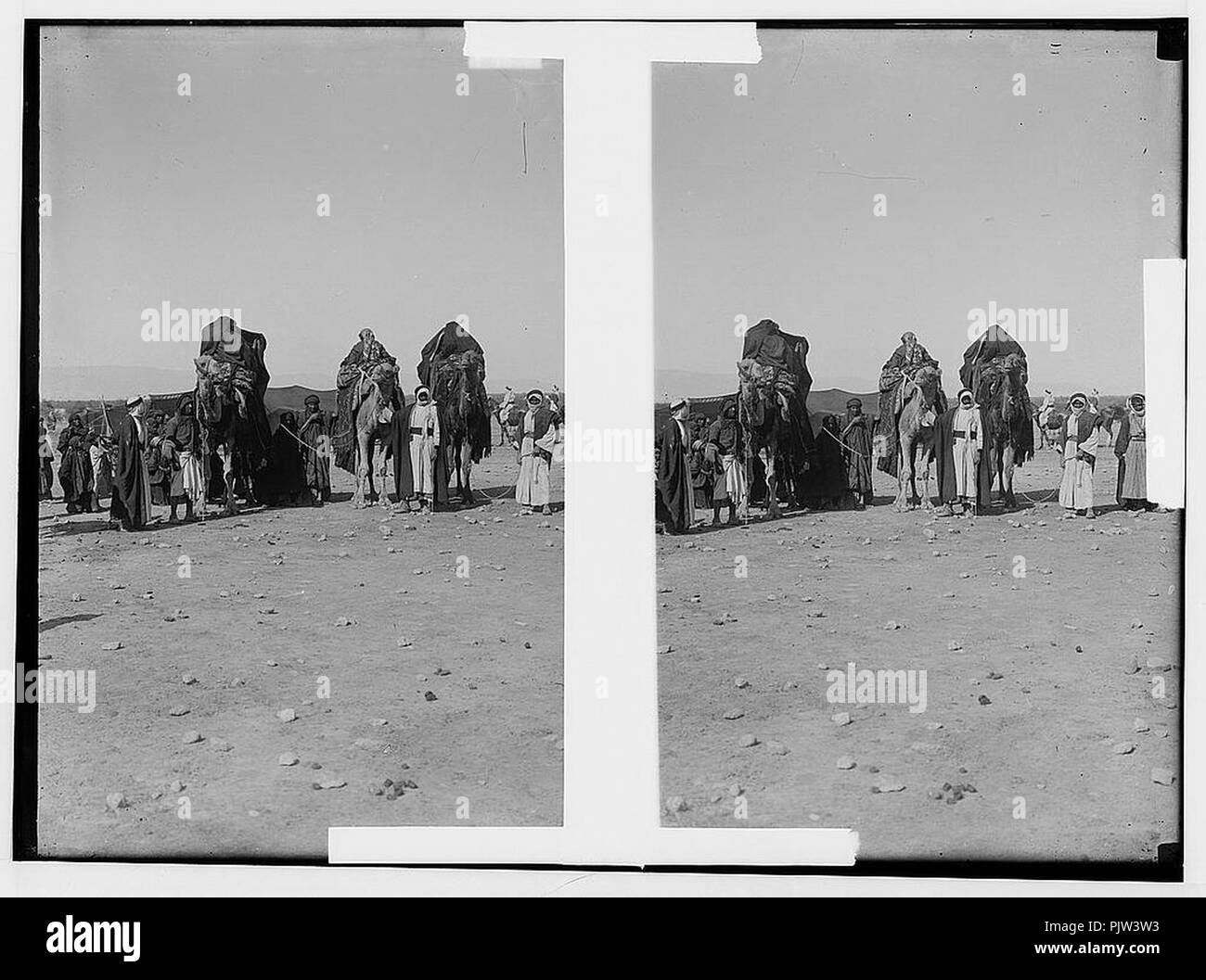 Série de mariage bédouin. Cortège de mariage prêt à démarrer Banque D'Images