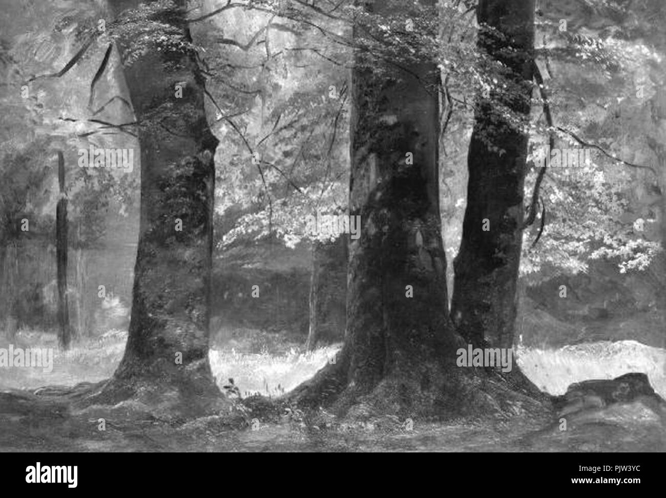 Bedrich Havranek 4. 1. 1821-1. 3. 1899 - Stromy v lese. Banque D'Images