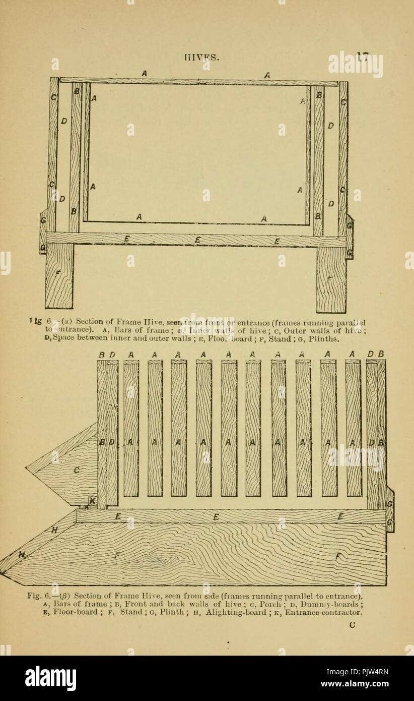 Les abeilles pour le plaisir et profit (page 17) Banque D'Images