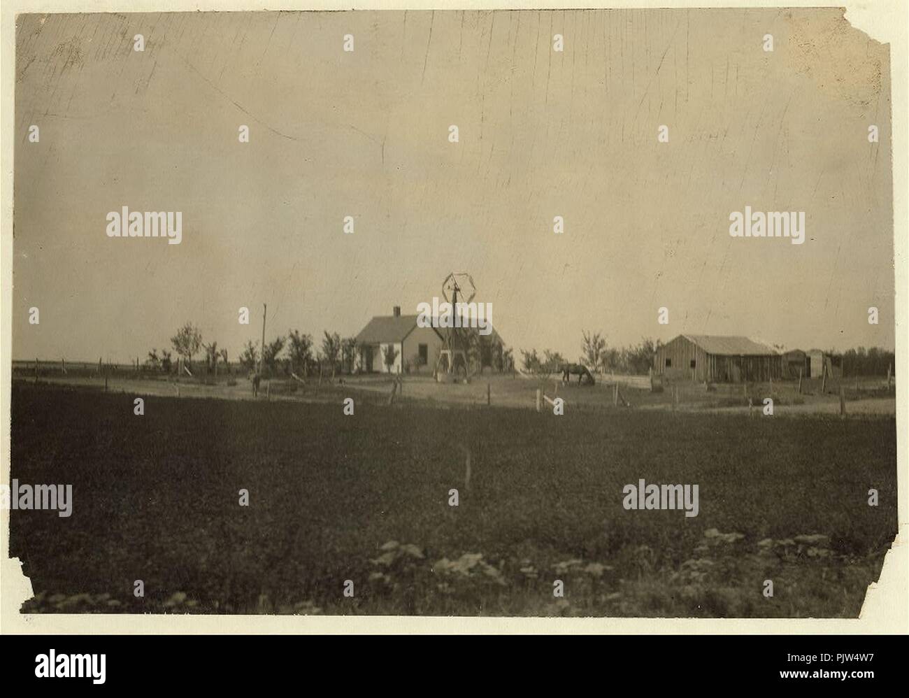 Les travailleurs de betterave accueil après quelques années prospères près de Sterling, adjacent à la maison indiquée dans 3950. Voir rapport Hine, Colorado, travailleurs de la betterave en juillet 1915. Banque D'Images