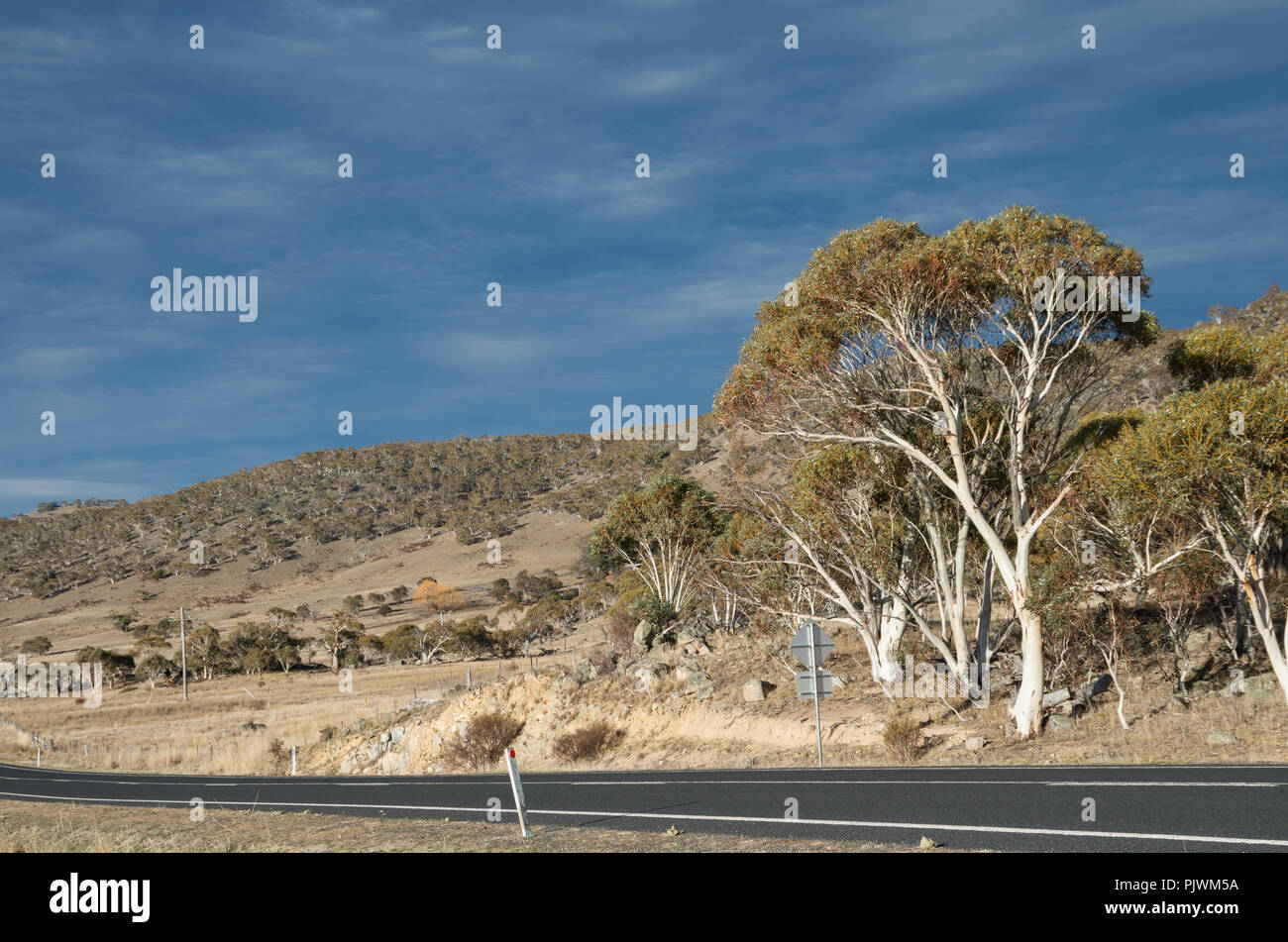 Australian bush contre un sombre ciel d'orage dans la région des Snowy Mountains Banque D'Images