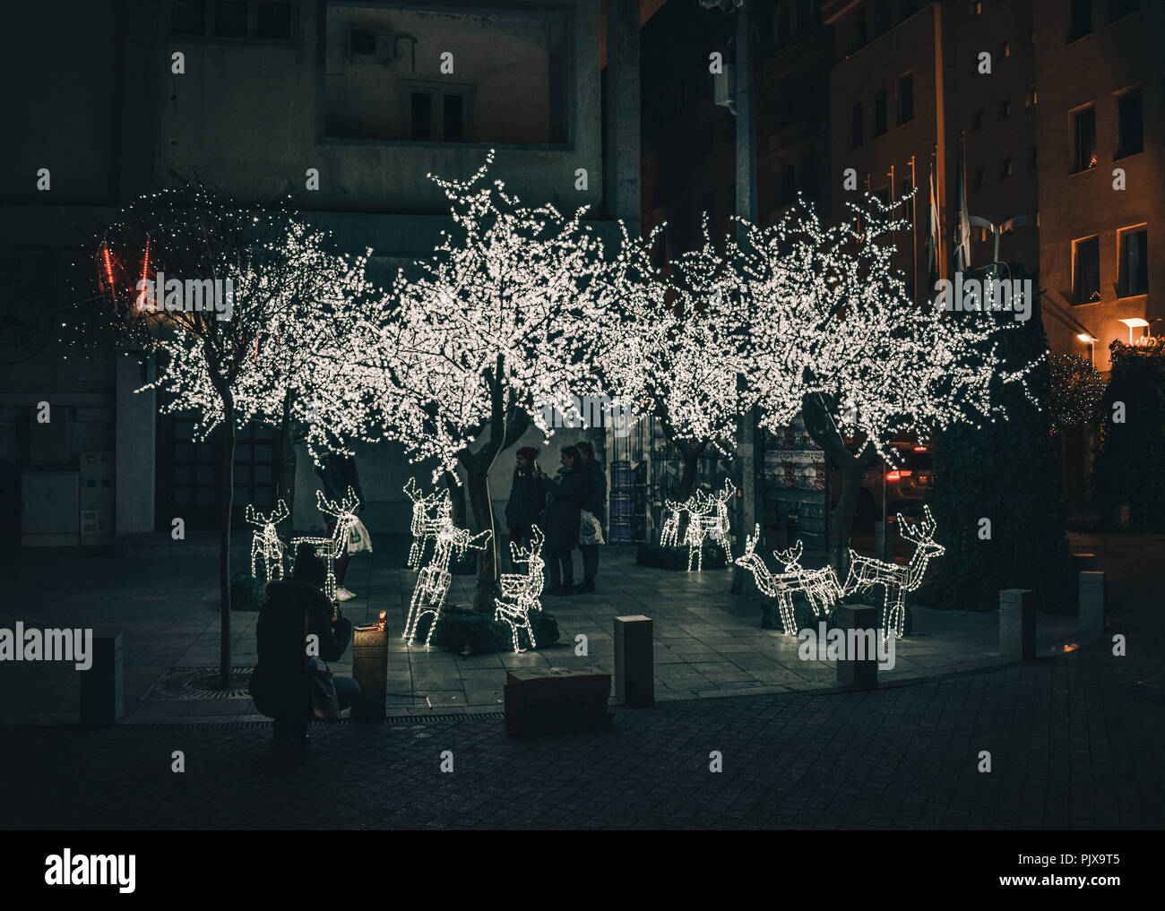 Noël à Skopje, Macédoine, arrivée avec une installation artistique de fête. Les enfants jouent autour de les rennes et d'arbres. Banque D'Images