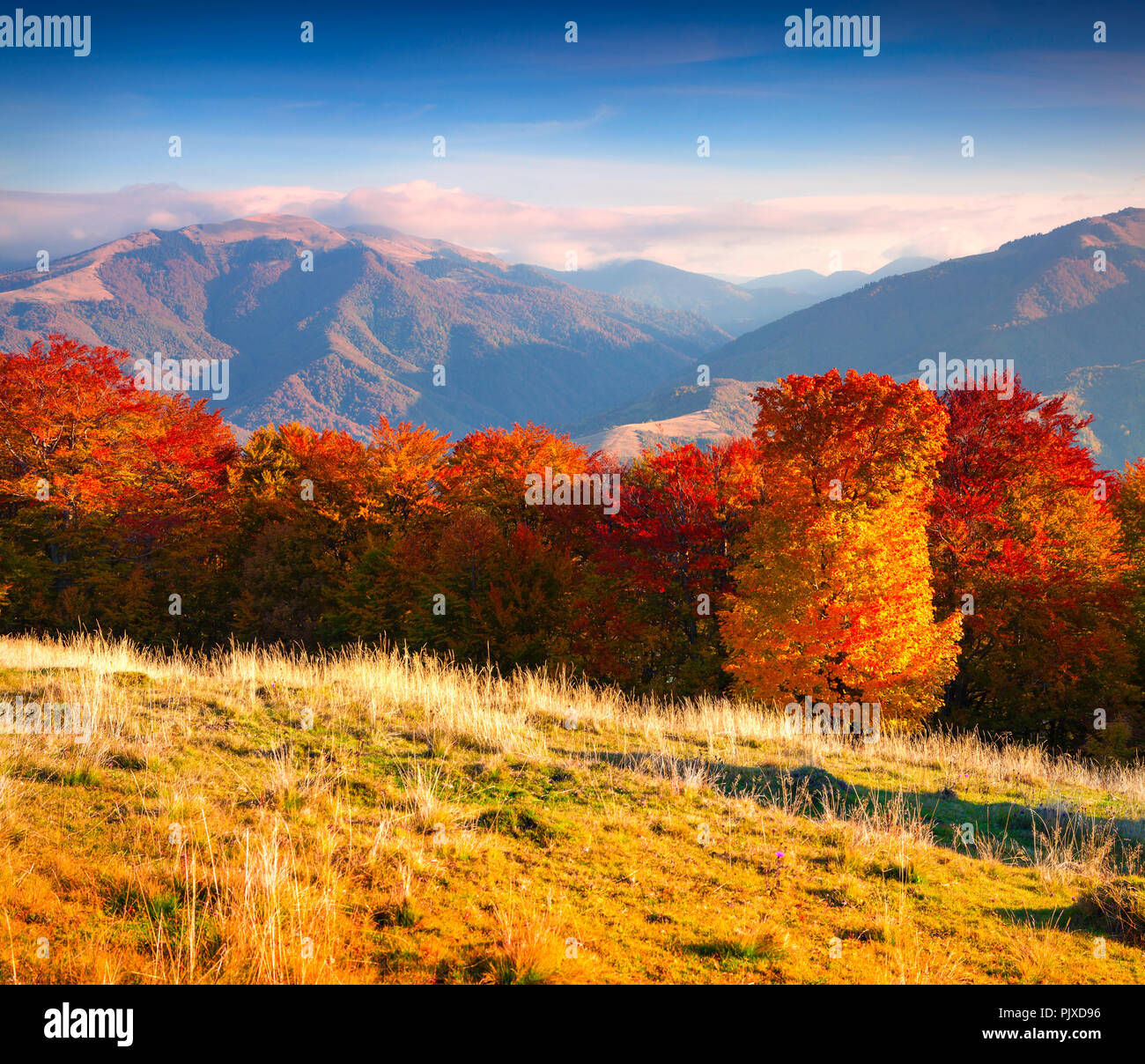 Paysage d'automne dans les montagnes Banque D'Images