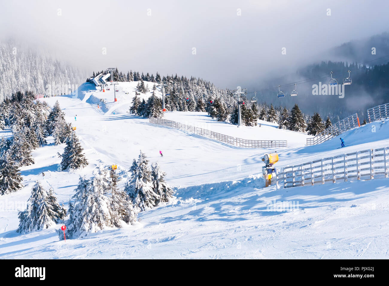 Station de ski, piste de ski, remontées mécaniques, pins et panorama des montagnes de brume Banque D'Images