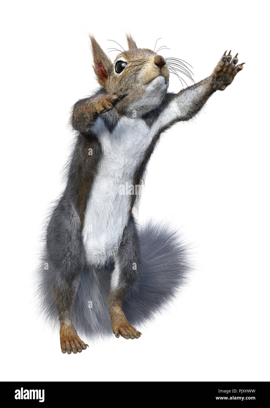 Le rendu 3D d'un écureuil gris isolé sur fond blanc Banque D'Images