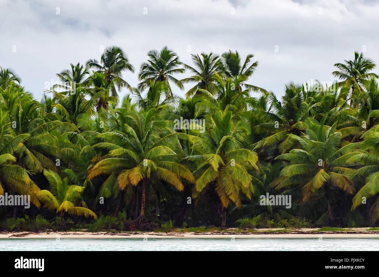 Ciel d'orage de mousson tropicale avec palmiers Banque D'Images