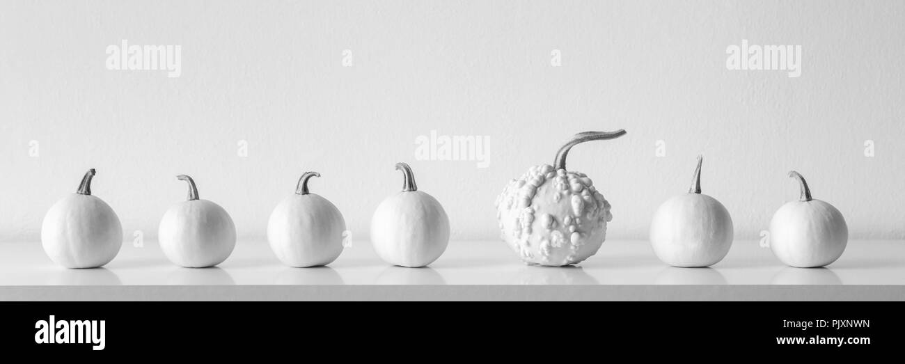 Joyeux Thanksgiving. Sélection de diverses citrouilles sur plateau blanc contre mur blanc. Décoration de la chambre saison moderne. Black & White Pumpkins bannière. M Banque D'Images