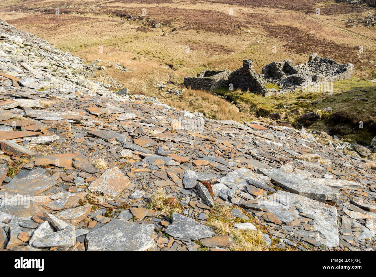 L'ardoise à l'abandon Miner's Cottage et tas de déchets d'ardoise sur les pentes de Moel Siabod, Snowdonia, le Nord du Pays de Galles Banque D'Images