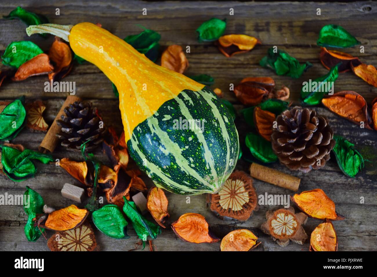 L'automne est à venir avec des citrouilles, des briques et du contexte. Banque D'Images