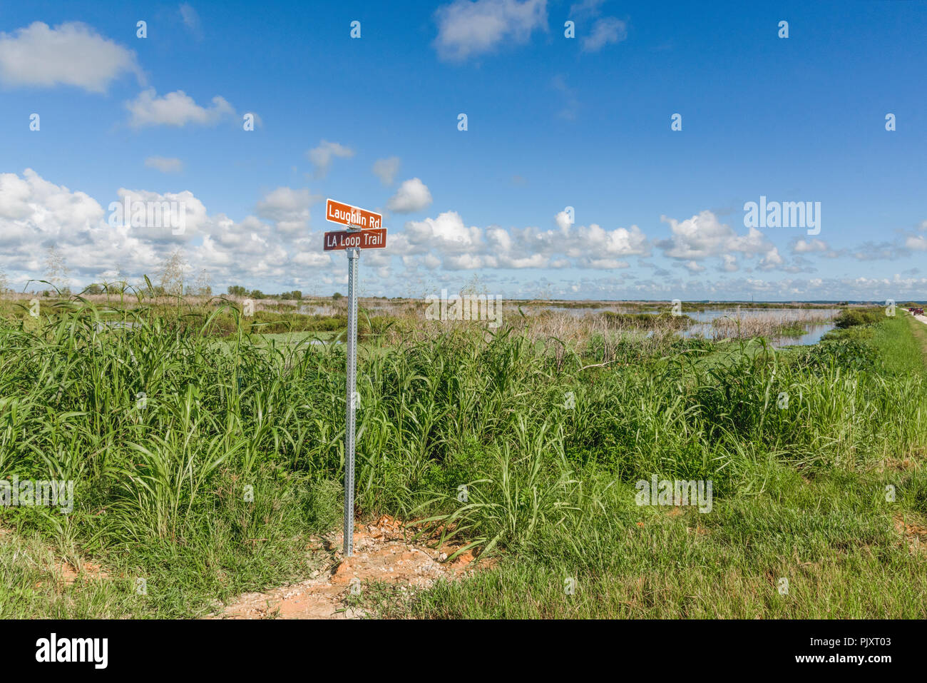 Sentier en boucle Apopka Floride Banque D'Images