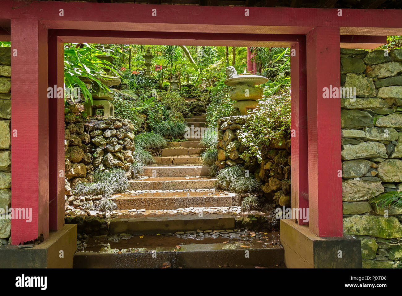 Jardin japonais jardins tropicaux de Monte Palace Madeira Portugal Banque D'Images