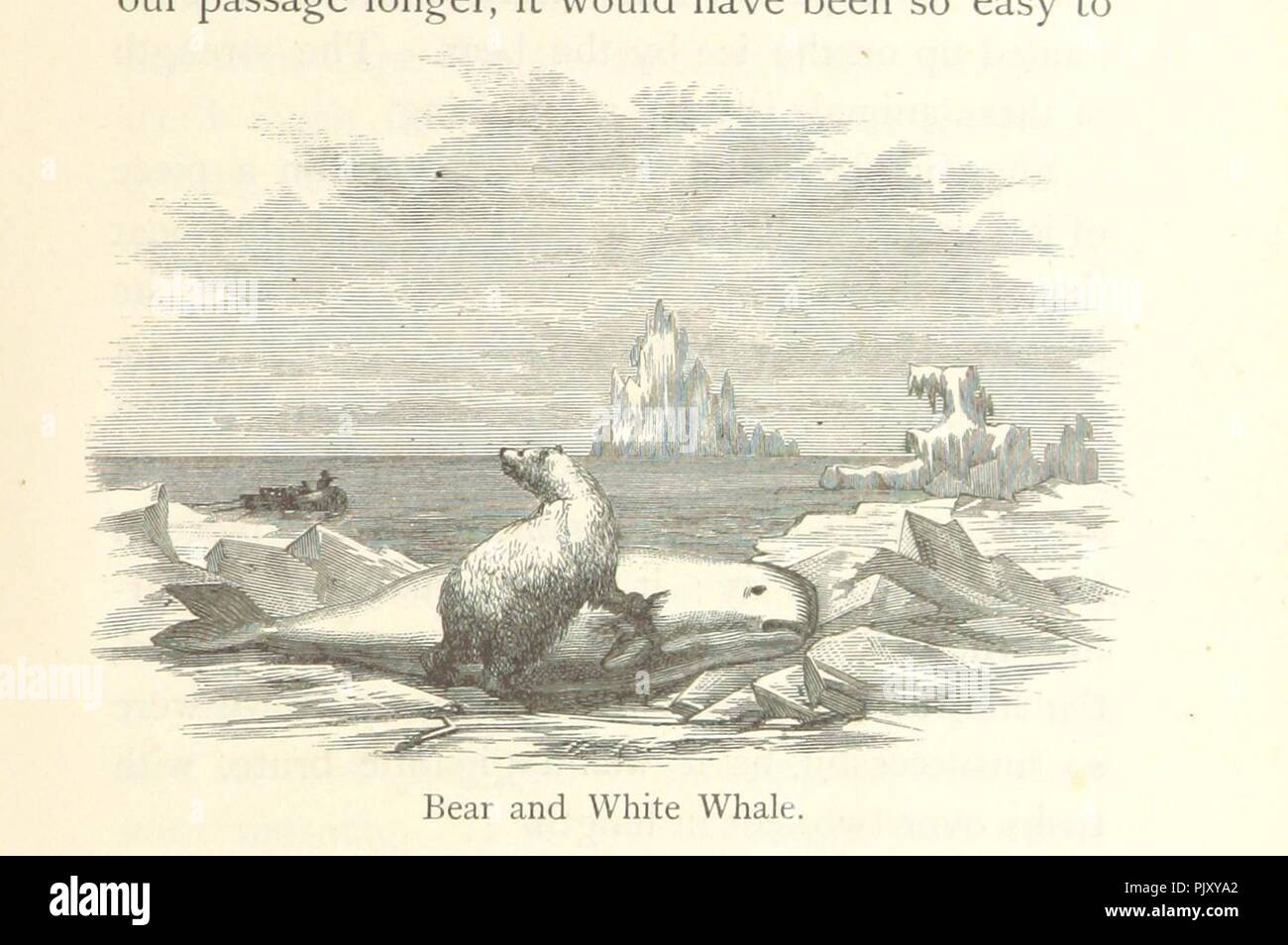 Golfe de boothia Banque de photographies et d’images à haute résolution