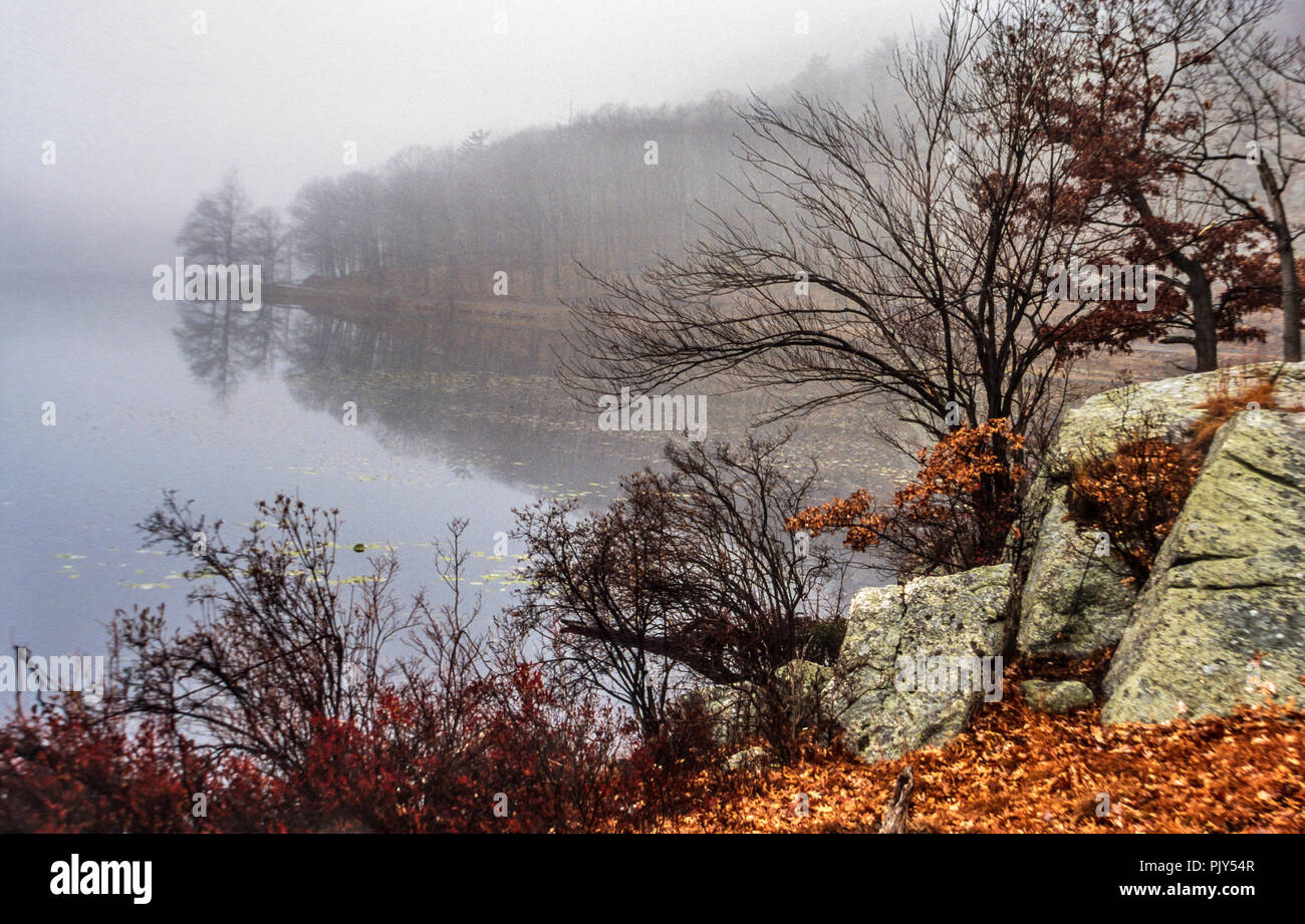 Parc d'État Harriman, l'État de New York sur misty froide journée d'hiver Banque D'Images