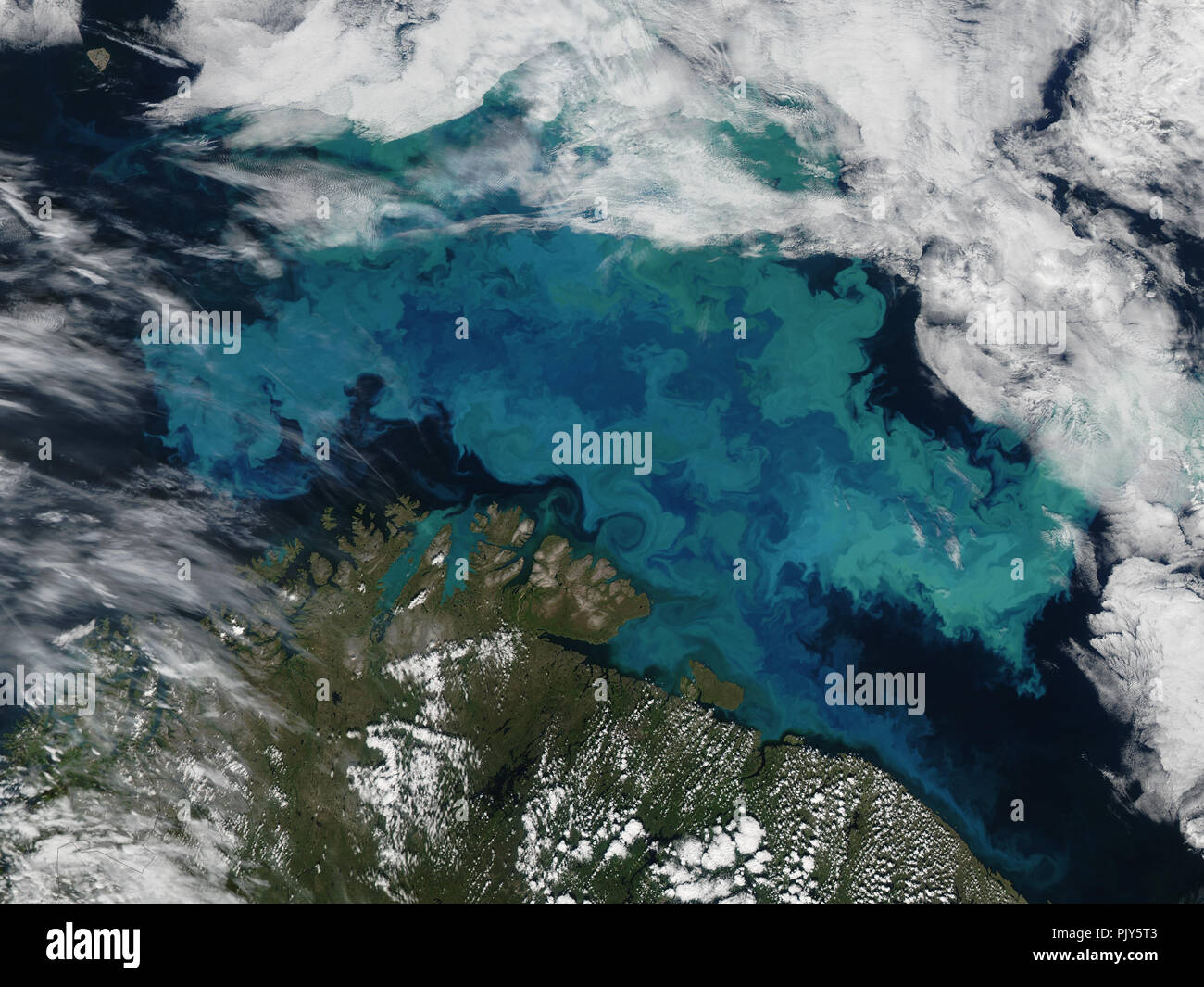La haute altitude vue d'une floraison de plancton dans la mer de Barents Banque D'Images