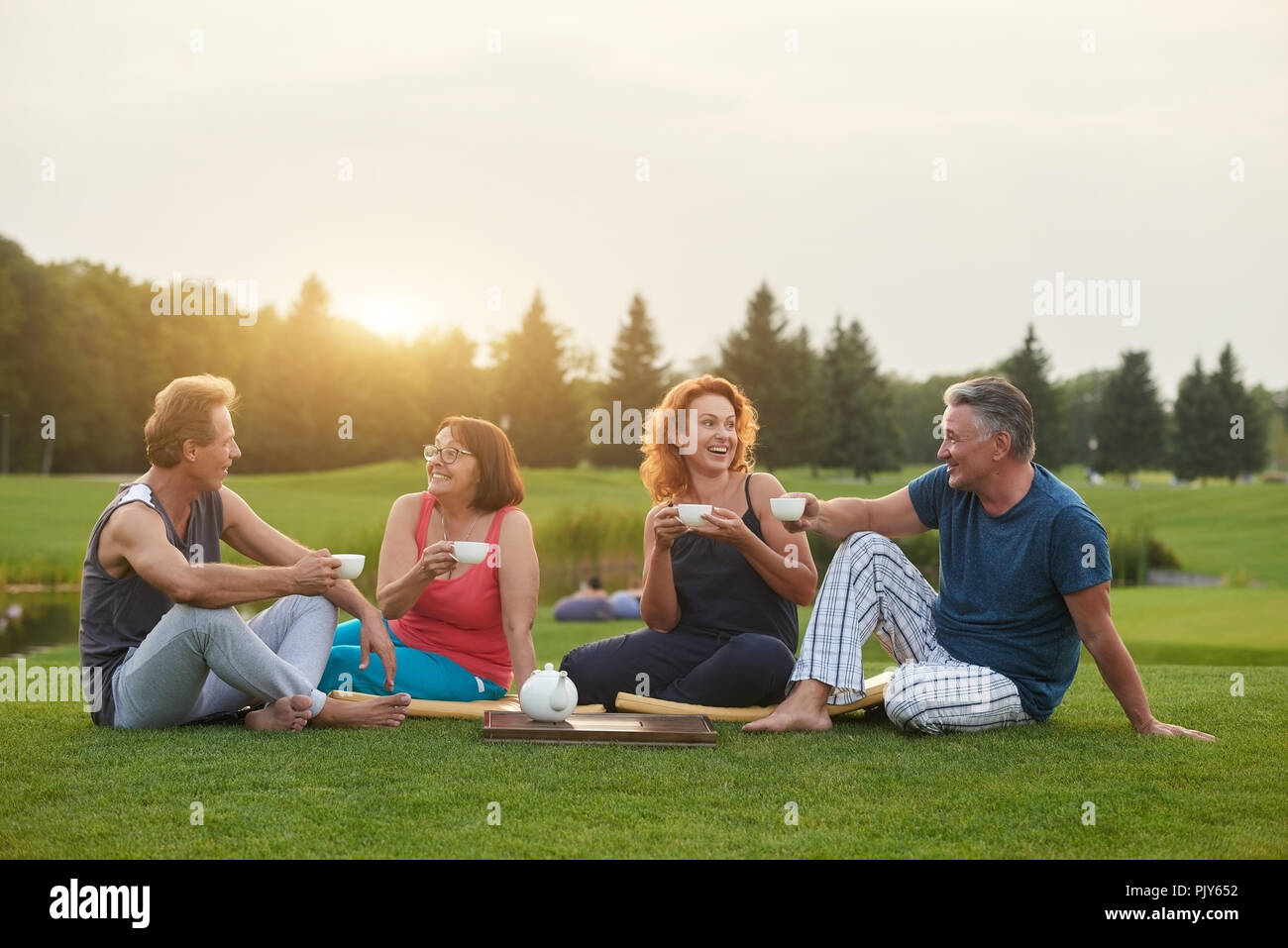 Réunion du groupe d'amis dans le parc pour les boissons. Banque D'Images