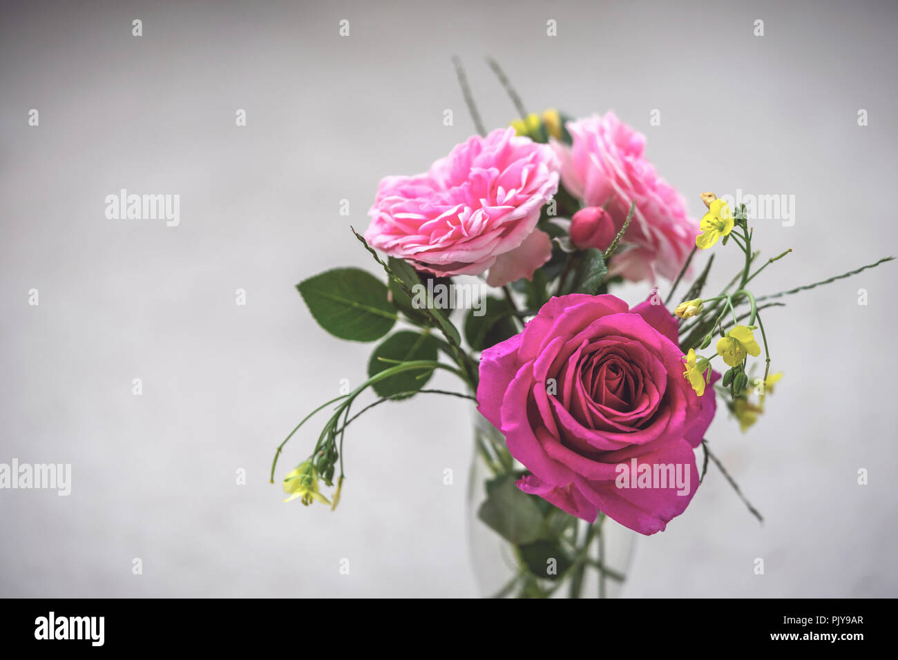 Un bouquet de roses roses et jaune renoncule des prés de fleurs dans un vase à l'arrière-plan gris Banque D'Images