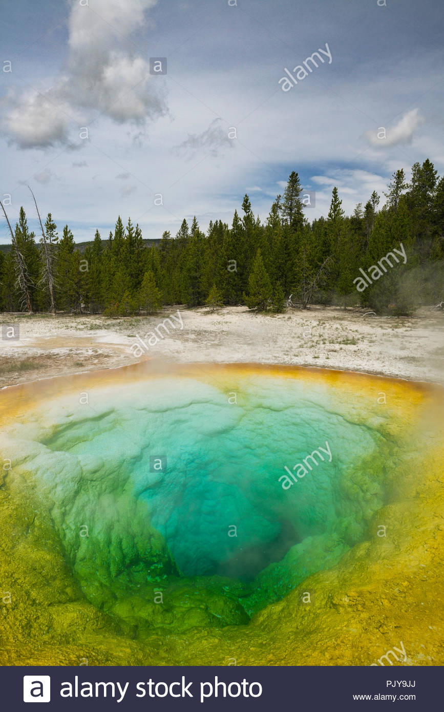 La gloire du matin Piscine, parc national de Yellowstone, Wyoming Banque D'Images