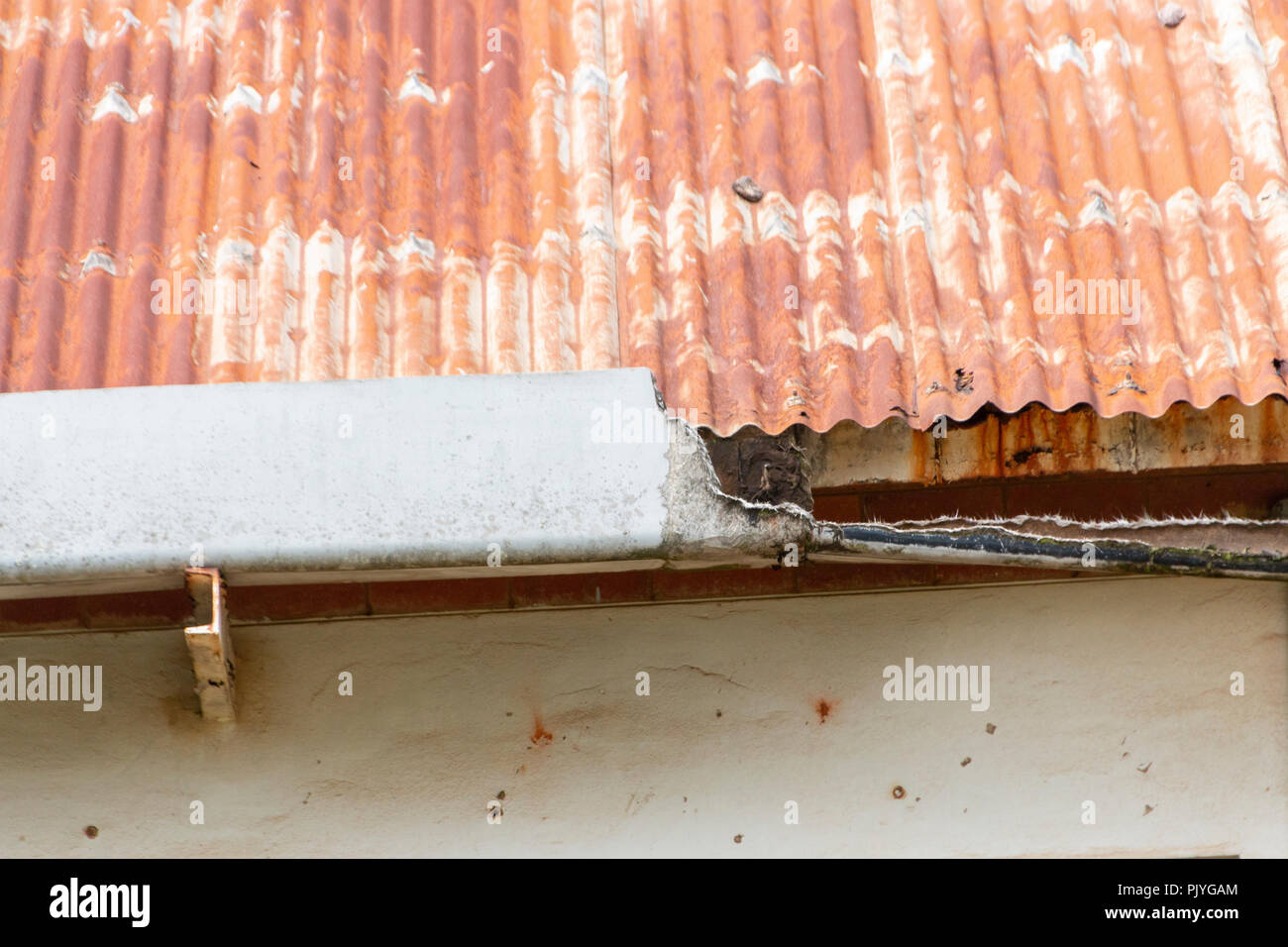 Une vue en gros plan d'un caniveau en béton endommagé sur un toit de métal rouillé Banque D'Images