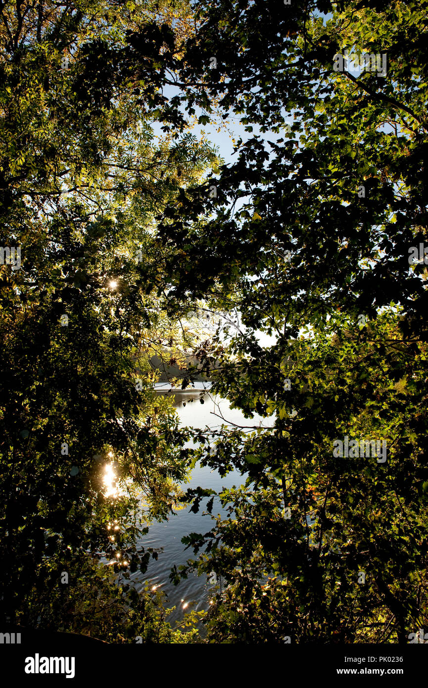 Impressions d'automne de l'Zoete Waters lakes dans Froidchapelle (Belgique, 10/10/2010) Banque D'Images