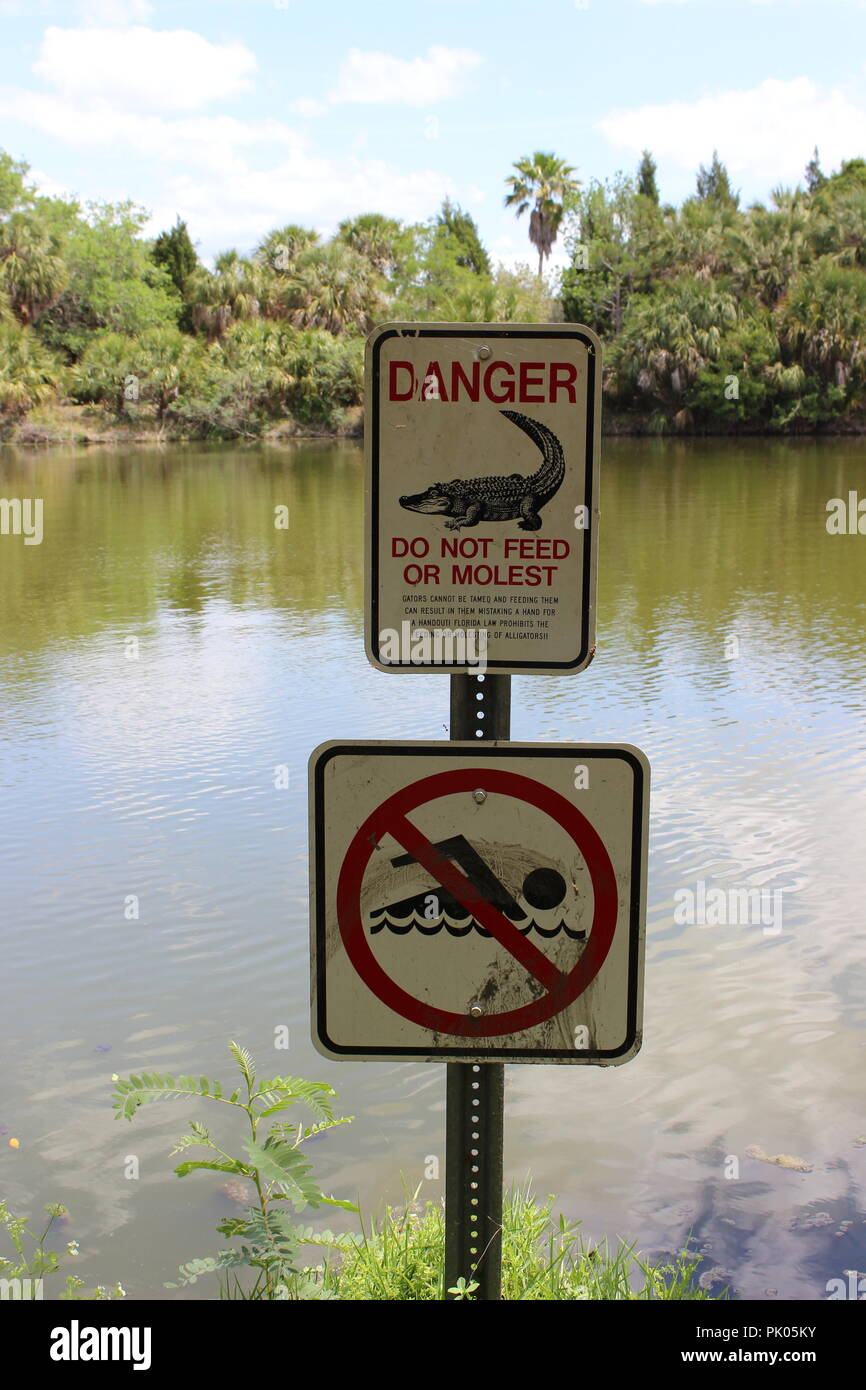 Lake Seminole Park, parc Boulevard North, Seminole, en Floride, USA Banque D'Images