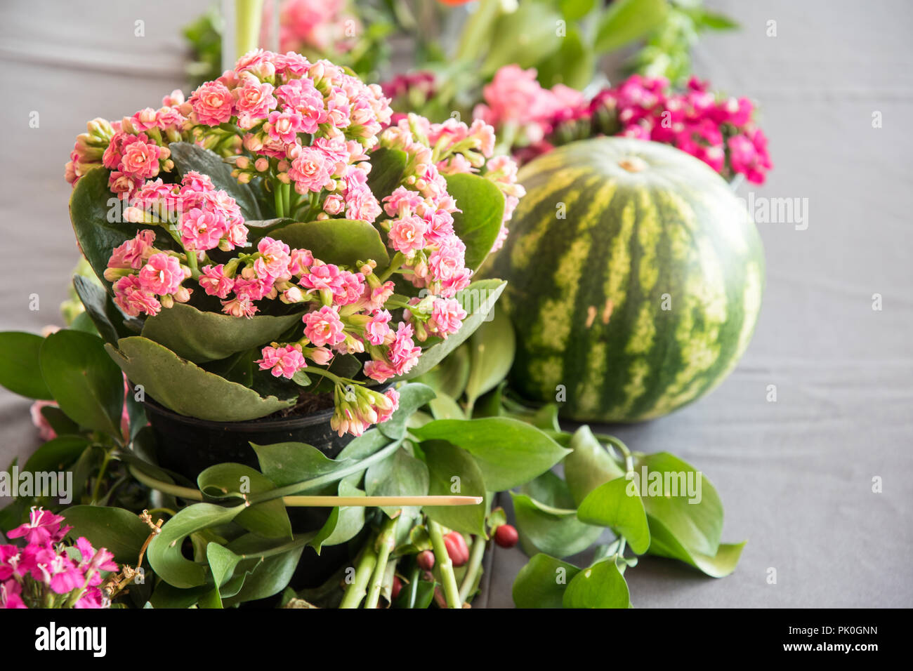 Un close-up, side et birds eye view d'un arrangement de fleurs de rose coloré bouquet en premier plan avec une pastèque ronde & raisins. Banque D'Images