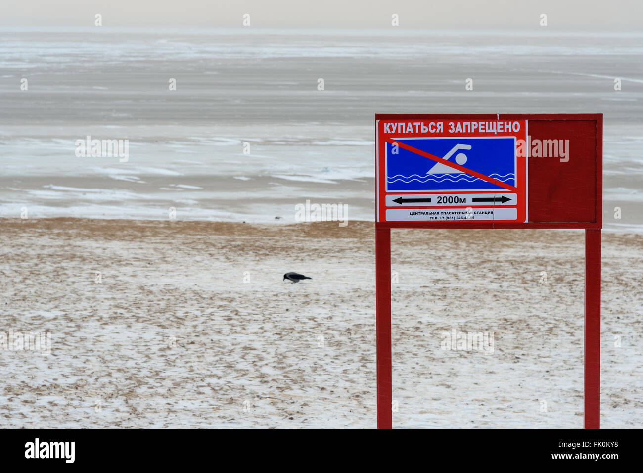Signer avec l'inscription en Fédération de natation est interdite près de Golfe de Finlande en hiver Banque D'Images